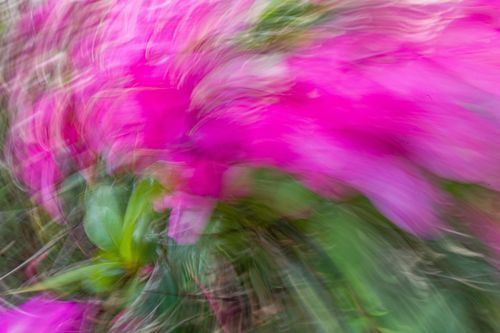 Mdawmdawmdawmdaw7qgraepd6cacehr zcfbfywxu2fyveayeunrgwctqqqltnerwweter6yomfiojy24adow ljj7f22f2vd2s3k0fn 38ezqodftc2xeuhdjufahdziomokxodj3hs jg da6ji5eudq olwagpj5emn5ddm6gfnlyfgkvfwzp79blhitrzzehqrqxbpeth6ufw4v4ma9mgg5pqfijv7lg1hfpmpyxcle8tamb5gdicayxsfn8hi3uxo1ylcaghw18gyxvemvzrcsv4drf2435dl5mprtisgdzrl9apnkyqovplqjuylb8svhyd kecw