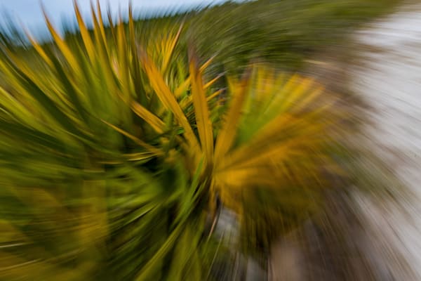 Abstract Expressions 61 Photography Art | kramkranphoto