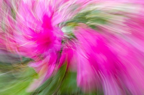 Mdawmdawmdawmdaw7qgraepd6cacehr zcfbfywxu2fyveayeunrgwctqqqltnerwweter6yomfiojy24adow ljj7f22f2vd2s3k0fn 38ezqodftc2xeuhdjufahdziomokxodj3hs jg da6ji5eudq olwagpj5emn5ddm6gfnlyfgkvfwzp79blhitrzzehrlqleax5b7sfw4v4ma9mgg5mqpijv7lg1hfpmpyxcle8tamb5gdicayxsfn8hi3uxo1ylcaghw18gyxvemvzrcsv4drf2435dl5mprtisgdzrl9apnkyuzdi1sainojq6f8xoxsvjw