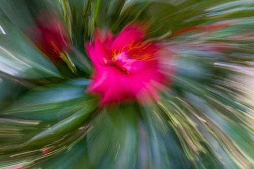 Mdawmdawmdawmdaw7qgraepd6cacehr zcfbfywxu2fyveayeunrgwctqqqltnerwweter6yomfiojy24adow ljj7f22f2vd2s3k0fn 38ezqodftc2xeuhdjufahdziomokxodj3hs jg da6ji5eudq olwagpj5emn5ddm6gfnlyfgkvfwzp79blhitrzzehrbqefkhxa7qfw4v4ma9mgg5pq ijv7lg1hfpmpyxcle8tamb5gdicayxsfn8hi3uxo1ylcaghw18gyxvemvzrcsv4drf2435dl5mprtisgdzrl9apnky6mche6w3xou7a1tmryaasg