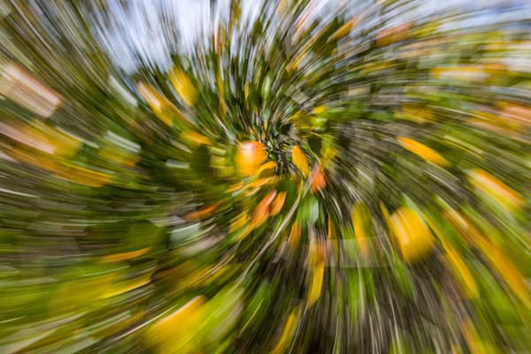 Abstract Expressions 58 Photography Art | kramkranphoto