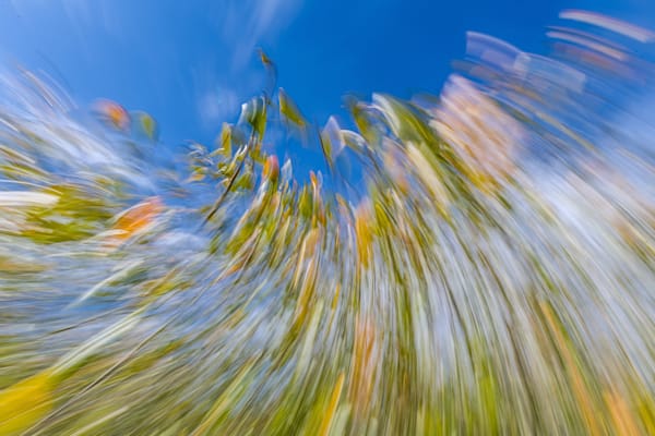 Abstract Expressions 55 Photography Art | kramkranphoto