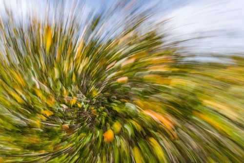 Mdawmdawmdawmdaw7qgraepd6cacehr zcfbfywxu2fyveayeunrgwctqqqltnerwweter6yomfiojy24adow ljj7f22f2vd2s3k0fn 38ezqodftc2xeuhdjufahdziomokxodj3hs jg da6ji5eudq olwagpj5emn5ddm6gfnlyfgkvfwzp79blhitrzzeiqlqkcqaoh7gfw4v4ma9mgg5lovijv7lg1hfpmpyxcle8tamb5gdicayxsfn8hi3uxo1ylcaghw18gyxvemvzrcsv4drf2435dl5mprtisgdzrl9apnky2 zbrh9y5sv4y3euauqjfa