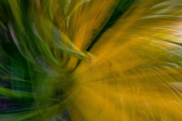 Abstract Expressions 51 Photography Art | kramkranphoto