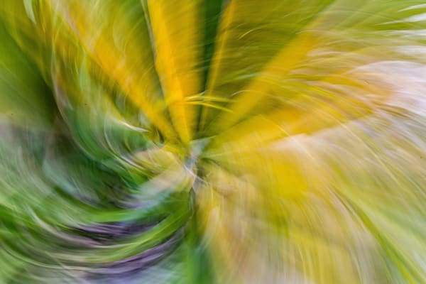 Abstract Expressions 52 Photography Art | kramkranphoto