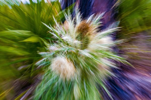 Abstract Expressions 53 Photography Art | kramkranphoto