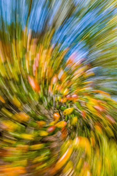 Abstract Expressions 50 Photography Art | kramkranphoto