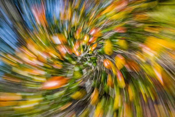 Abstract Expressions 49 Photography Art | kramkranphoto