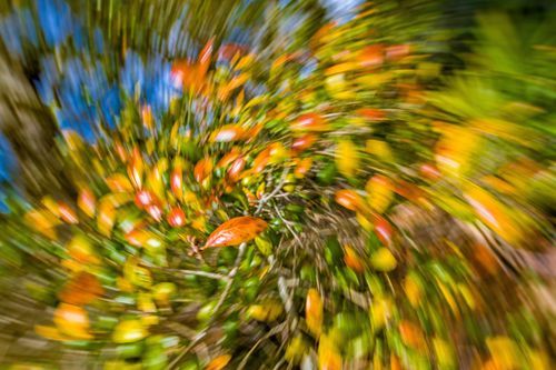 Mdawmdawmdawmdaw7qgraepd6cacehr zcfbfywxu2fyveayeunrgwctqqqltnerwweter6yomfiojy24adow ljj7f22f2vd2s3k0fn 38ezqodftc2xeuhdjufahdziomokxodj3hs jg da6ji5eudq olwagpj5emn5ddm6gfnlyfgkvfwzp79blhitrzzejprqefqnmr74fw4v4ma9mgg5gqvijv7lg1hfpmpyxcle8tamb5gdicayxsfn8hi3uxo1ylcaghw18gyxvemvzrcsv4drf2435dl5mprtisgdzrl9apnkyyoerem8udeabarblvtqaiw