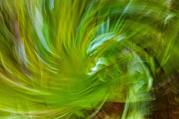 Abstract Expressions 45 Photography Art | kramkranphoto
