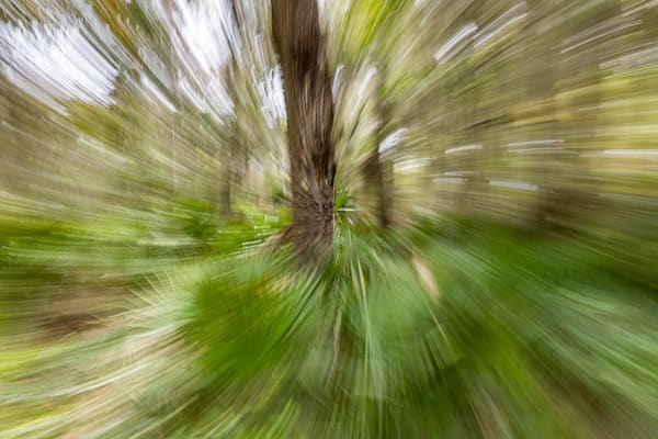 Abstract Expressions 47 Photography Art | kramkranphoto