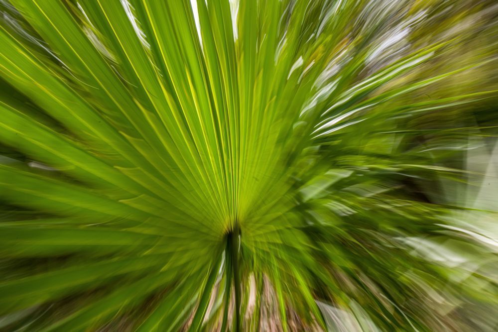 Abstract Expressions 44 Photography Art | kramkranphoto