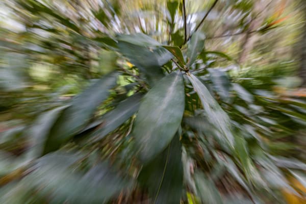 Abstract Expressions 41 Photography Art | kramkranphoto