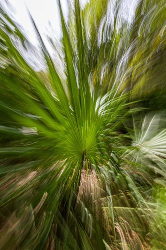 Mdawmdawmdawmdaw7qgraepd6cacehr zcfbfywxu2fyveayeunrgwctqqqltnerwweter6yomfiojy24adow ljj7f22f2vd2s3k0fn 38ezqodftc2xeuhdjufahdziomokxodj3hs jg da6ji5eudq olwagpj5emn5ddm6gfnlyfgkvfwzp79blhitrzzejrlqaxatnqu0fw4v4ma9mhqdpqfijv7lg1hfpmpyxcle8tamb5gdicayxsfn8hi3uxo1ylcaghw18gyxvemvzrcsv4drf2435dl5mprtisgdzrl9apnkyz pu9tde4cv9ddv4info2g