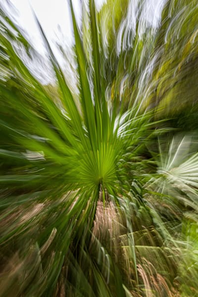 Abstract Expressions 42 Photography Art | kramkranphoto