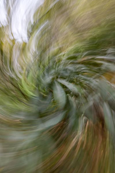 Abstract Expressions 40 Photography Art | kramkranphoto