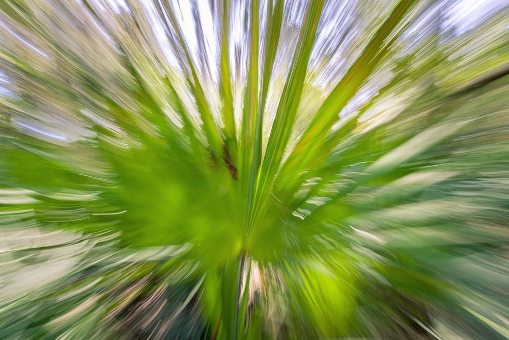 Abstract Expressions 39 Photography Art | kramkranphoto