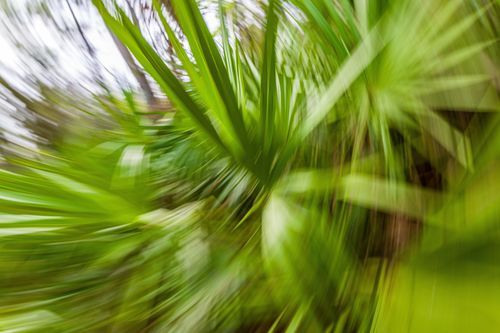 Mdawmdawmdawmdaw7qgraepd6cacehr zcfbfywxu2fyveayeunrgwctqqqltnerwweter6yomfiojy24adow ljj7f22f2vd2s3k0fn 38ezqodftc2xeuhdjufahdziomokxodj3hs jg da6ji5eudq olwagpj5emn5ddm6gfnlyfgkvfwzp79blhitrzzekprqhuk3seakfw4v4ma9mhqdlrfijv7lg1hfpmpyxcle8tamb5gdicayxsfn8hi3uxo1ylcaghw18gyxvemvzrcsv4drf2435dl5mprtisgdzrl9apnkypusq85pqirsaxl9nmjotiw