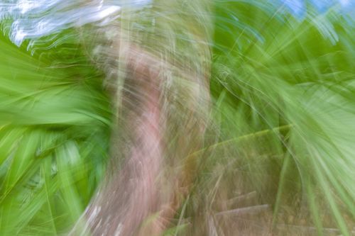 Mdawmdawmdawmdaw7qgraepd6cacehr zcfbfywxu2fyveayeunrgwctqqqltnerwweter6yomfiojy24adow ljj7f22f2vd2s3k0fn 38ezqodftc2xeuhdjufahdziomokxodj3hs jg da6ji5eudq olwagpj5emn5ddm6gfnlyfgkvfwzp79blhitrzzekr7qvu636a7sfw4v4ma9mhqdjqvijv7lg1hfpmpyxcle8tamb5gdicayxsfn8hi3uxo1ylcaghw18gyxvemvzrcsv4drf2435dl5mprtisgdzrl9apnkykljzne1om6z4lv2erjyyhw