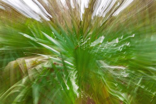 Mdawmdawmdawmdaw7qgraepd6cacehr zcfbfywxu2fyveayeunrgwctqqqltnerwweter6yomfiojy24adow ljj7f22f2vd2s3k0fn 38ezqodftc2xeuhdjufahdziomokxodj3hs jg da6ji5eudq olwagpj5emn5ddm6gfnlyfgkvfwzp79blhitrzzekrrqtarxug74fw4v4ma9mhqdgqpijv7lg1hfpmpyxcle8tamb5gdicayxsfn8hi3uxo1ylcaghw18gyxvemvzrcsv4drf2435dl5mprtisgdzrl9apnky235sezumoz1 vgv5bz k a