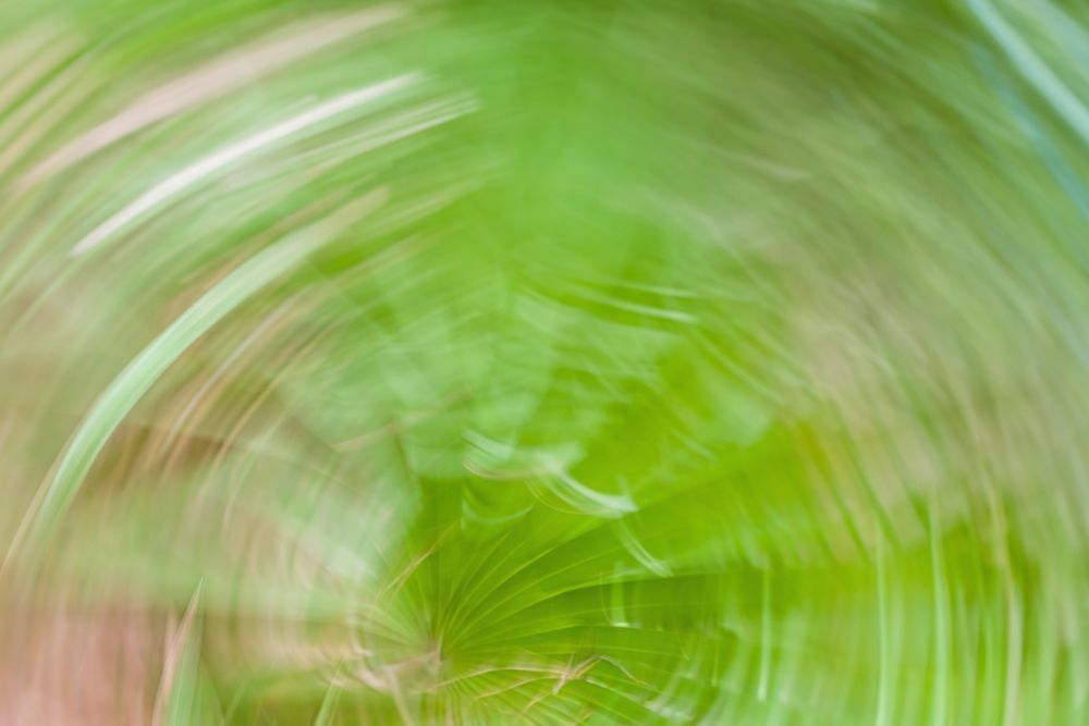 Abstract Expressions 25 Photography Art | kramkranphoto