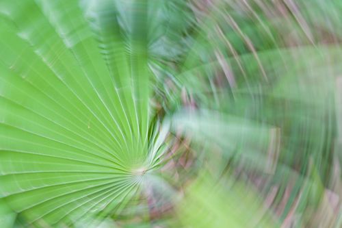 Mdawmdawmdawmdaw7qgraepd6cacehr zcfbfywxu2fyveayeunrgwctqqqltnerwweter6yomfiojy24adow ljj7f22f2vd2s3k0fn 38ezqodftc2xeuhdjufahdziomokxodj3hs jg da6ji5eudq olwagpj5emn5ddm6gfnlyfgkvfwzp79blhitrzzelqlqtebh qeyfw4v4ma9mhqdgqvijv7lg1hfpmpyxcle8tamb5gdicayxsfn8hi3uxo1ylcaghw18gyxvemvzrcsv4drf2435dl5mprtisgdzrl9apnkydqzsubeuf0hravesekijzq