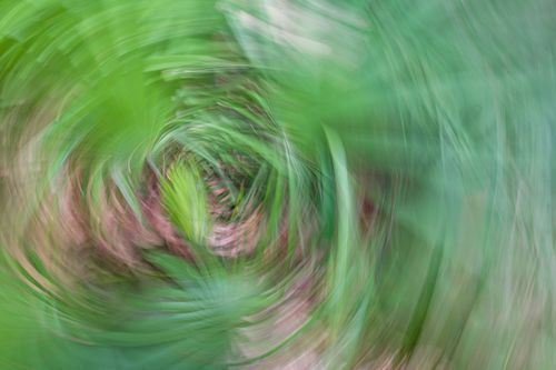 Mdawmdawmdawmdaw7qgraepd6cacehr zcfbfywxu2fyveayeunrgwctqqqltnerwweter6yomfiojy24adow ljj7f22f2vd2s3k0fn 38ezqodftc2xeuhdjufahdziomokxodj3hs jg da6ji5eudq olwagpj5emn5ddm6gfnlyfgkvfwzp79blhitrzzelqbqjf6bvdryfw4v4ma9mhqzoq ijv7lg1hfpmpyxcle8tamb5gdicayxsfn8hi3uxo1ylcaghw18gyxvemvzrcsv4drf2435dl5mprtisgdzrl9apnkyq rhk103t3zzz5ruodok8a