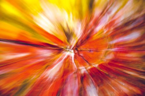 Mdawmdawmdawmdaw7qgraepd6cacehr zcfbfywxu2fyveayeunrgwctqqqltnerwweter6yomfiojy24adow ljj7f22f2vd2s3k0fn 38ezqodftc2xeuhdjufahdziomokxodj3hs jg da6ji5eudq olwagpj5emn5ddm6gfnlyfgkvfwzp79blhitrzzemqbqke6npdoofw4v4ma9mhqzlrfijv7lg1hfpmpyxcle8tamb5gdicayxsfn8hi3uxo1ylcaghw18gyxvemvzrcsv4drf2435dl5mprtisgdzrl9apnkyfifls qxwxueic5k3bl9ha