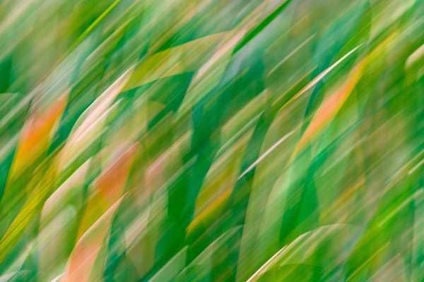 Abstract Expressions 11 Photography Art | kramkranphoto