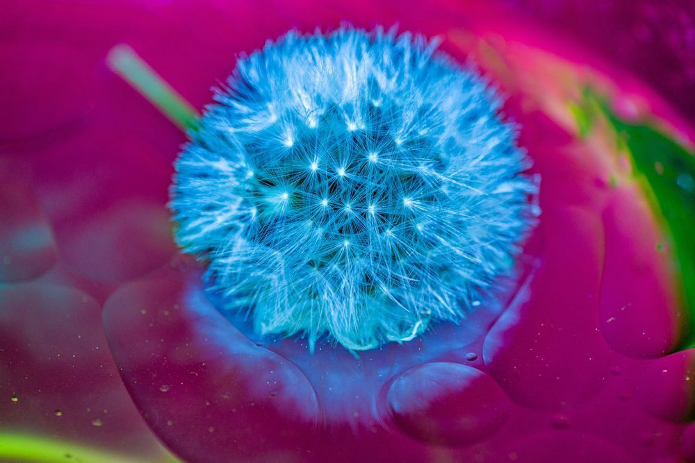 Abstract Expressions 113 Photography Art | kramkranphoto