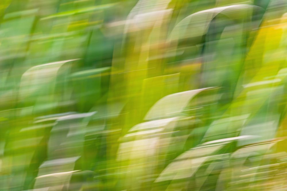 Abstract Expressions 10 Photography Art | kramkranphoto