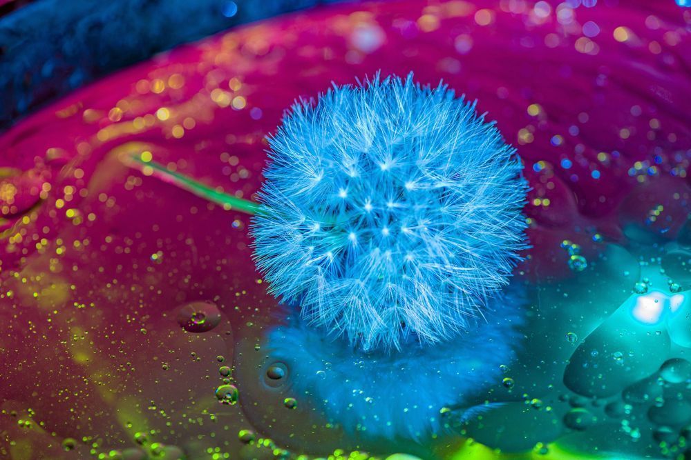 Abstract Expressions 103 Photography Art | kramkranphoto