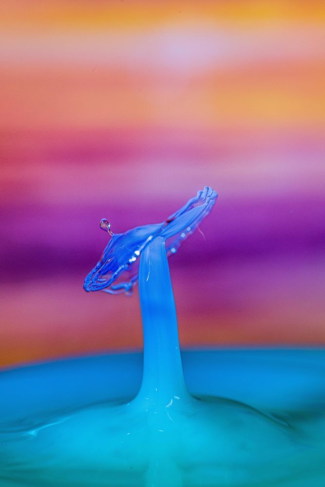 Abstract Expressions 102 Photography Art | kramkranphoto