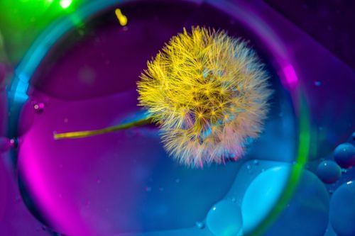 Mdawmdawmdawmdaw7qgraepd6cacehr zcfbfywxu2fyveayeunrgwctqqqltnerwweter6yomfiojy24adow ljj7f22f2vd2s3k0fn 38ezqodftc2xeuhdjufahdziomokxodj3hs jg da6ji5eudq olwagpj5emn5ddm6gfnlyfgkvfwzp79blhitrzzeur7qqdq78gbcfw4v4ma9mgg1or ijv7lg1hfpmpyxcle8tamb5gdicayxsfn8hi3uxo1ylcaghw18gyxvemvzrcsv4drf2435dl5mprtisgdzrl9apnkyrtaigrtpdwbldmz2lo ziq