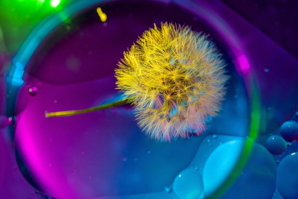 Abstract Expressions 91 Photography Art | kramkranphoto