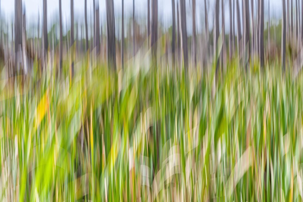 Abstract Expressions 9 Photography Art | kramkranphoto