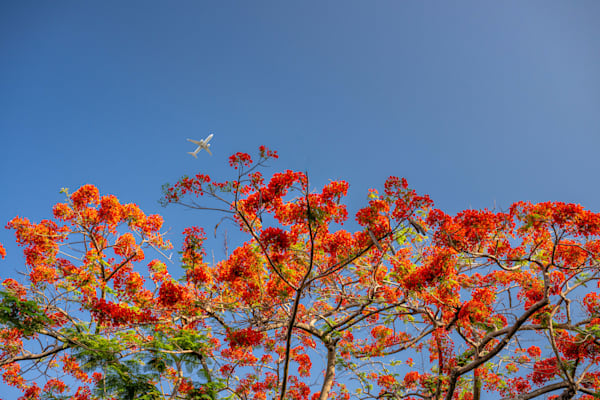 Allapattah Main Street 5 21 2024 6517 Photography Art | kramkranphoto