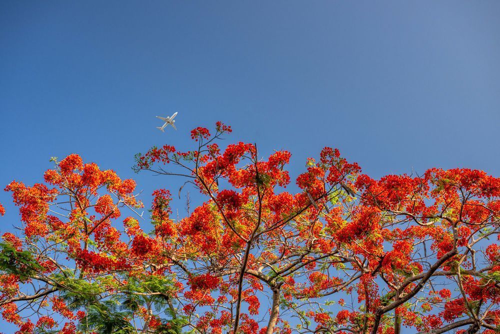 Allapattah Main Street 5 21 2024 6517 Photography Art | kramkranphoto