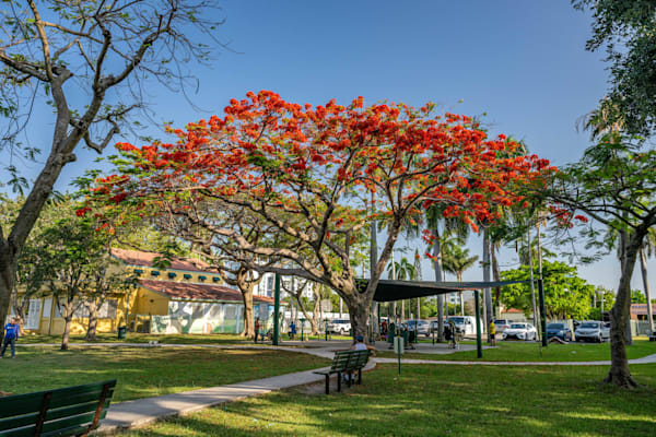 Main Streets of Florida