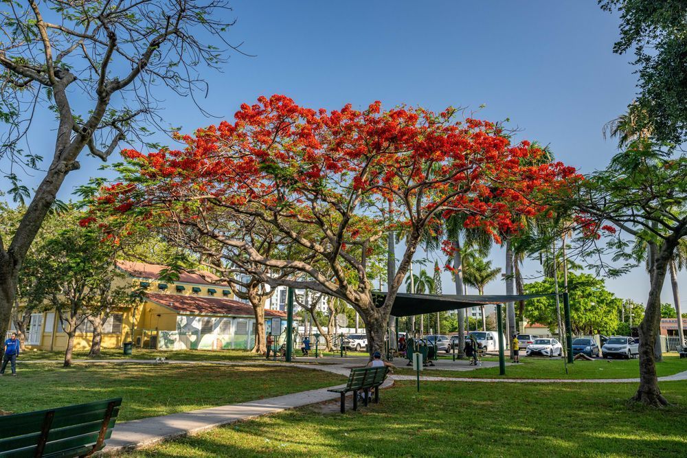 Allapattah Main Street 5 21 2024 6516 Photography Art | kramkranphoto