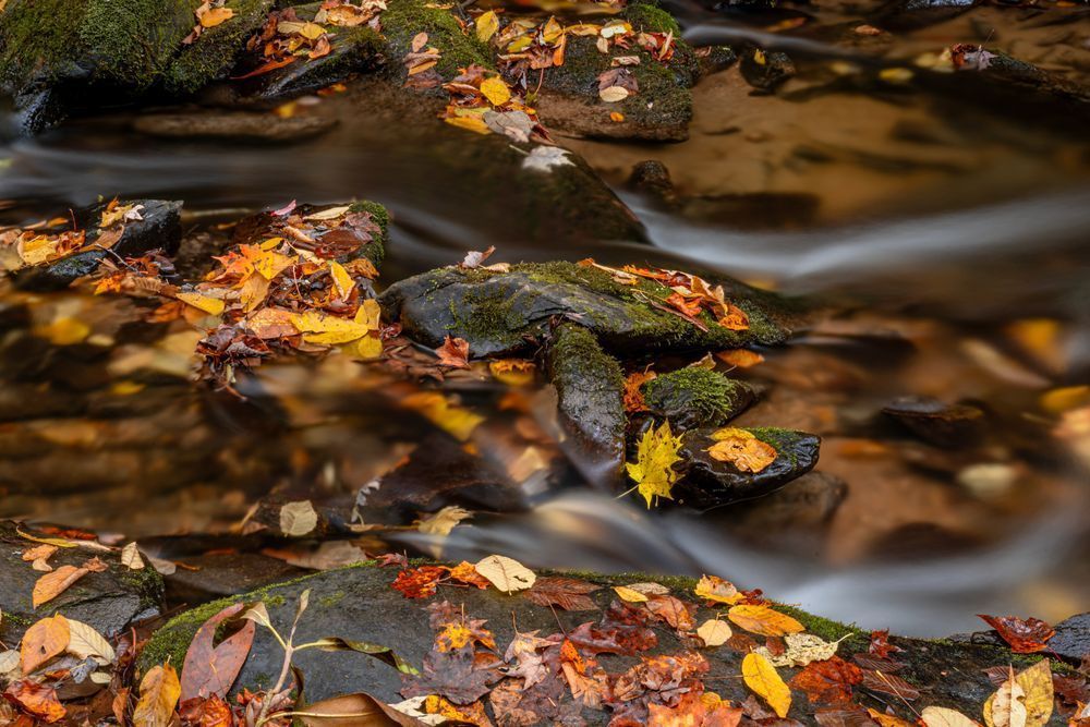 The Passing Of Autumn Photography Art | kramkranphoto