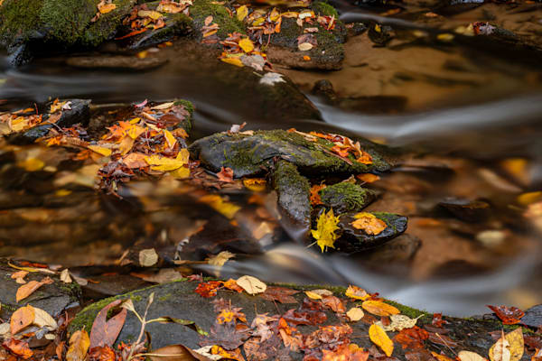 The Passing Of Autumn Photography Art | kramkranphoto