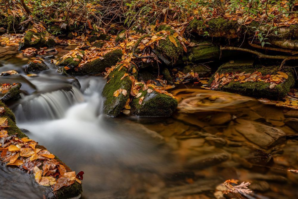 Fall Vortex Photography Art | kramkranphoto