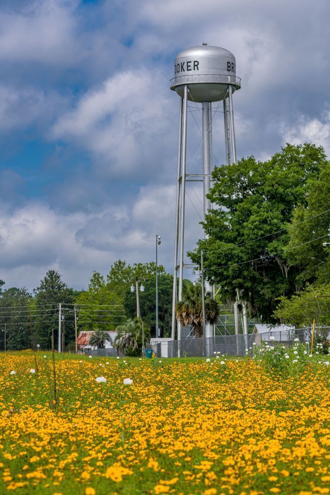 Central Florida Blooms Photography Art | kramkranphoto