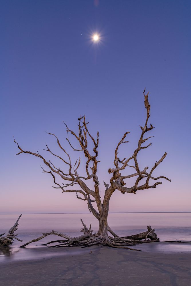 Lunar Tide Photography Art | kramkranphoto