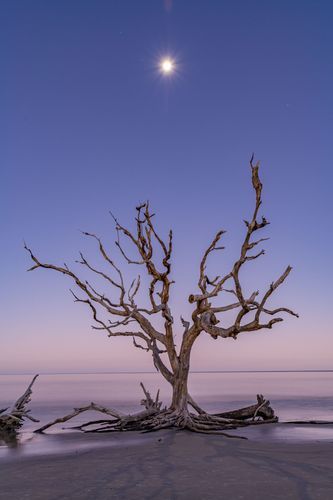 Mdawmdawmdawmdaw7qgraepd6cacehr zcfbfywxu2fyveayeunrgwctqqqltnerwweter6yomfiojy24adow ljj7f22f2vd2s3k0fn 38ezqodftc2xeuhdjufahdziomokxodj3hs jg da6ji5eudq olwagpj5emn5eyxgeued4gli1vx5s sqvrxy8i 9i6zoth7 0w 4cw4d4nq5ogwh 8kaubfngjcfaho65bko xxot qf pe9i8ipktihwiadye4shhxq32ywrv8rbrtffrinv3phrvrv1i7c04bb5qfi3pot drnexne0ntyxq8afrno