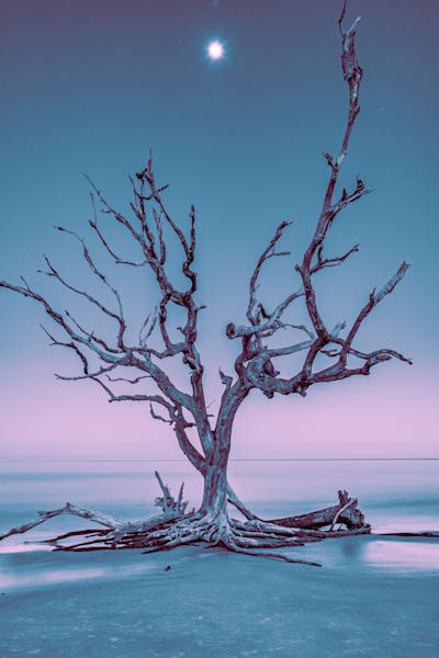 Lunar Altar Photography Art | kramkranphoto