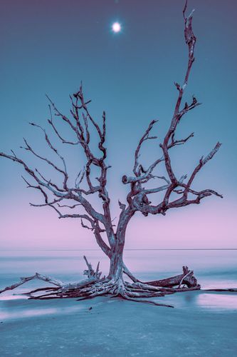 Mdawmdawmdawmdaw7qgraepd6cacehr zcfbfywxu2fyveayeunrgwctqqqltnerwweter6yomfiojy24adow ljj7f22f2vd2s3k0fn 38ezqodftc2xeuhdjufahdziomokxodj3hs jg da6ji5eudq olwagpj5emn5eyxgeued4gli1vx5s sqvrxy8jfzi5o0ab  4w 4cw4d4nq5oggd 8kaubfngjcfaho65bko xxot qf pe9i8ipktihwiadye4shhxq32ywrv8rbrtffrinv3phrvrv1i7c04bb5qfi3pi8fhpkfv8fbsluom9txarc