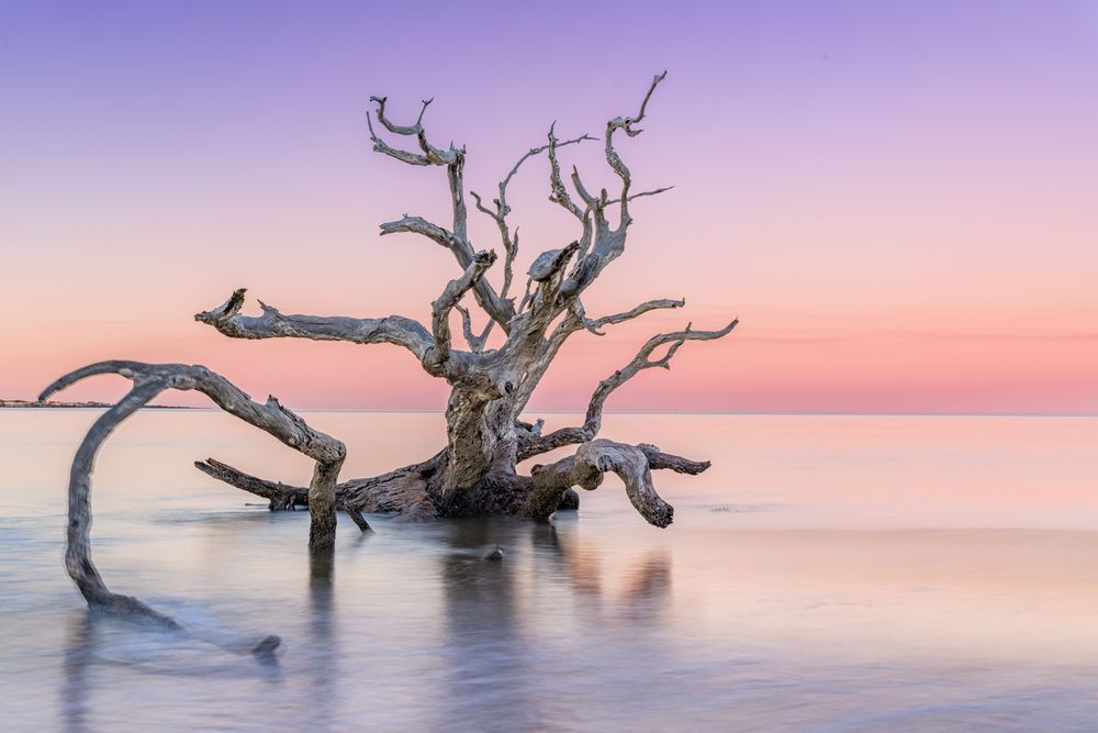 Harmony Photography Art | kramkranphoto