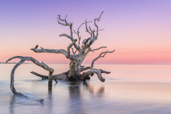 Harmony Photography Art | kramkranphoto